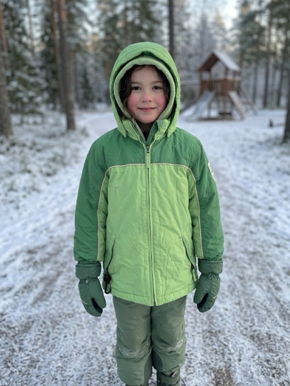 The Children’s Place Green Winter / Ski Jacket – Size S (5/6)